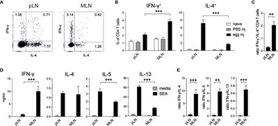 Defined Intestinal Regions Are Drained by Specific Lymph Nodes That Mount Distinct Th1 and Th2 Responses Against Schistosoma mansoni Eggs